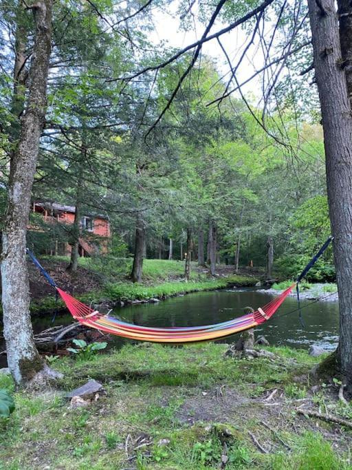 Peaceful Gateway To Island Creek Cottage East Stroudsburg Ngoại thất bức ảnh